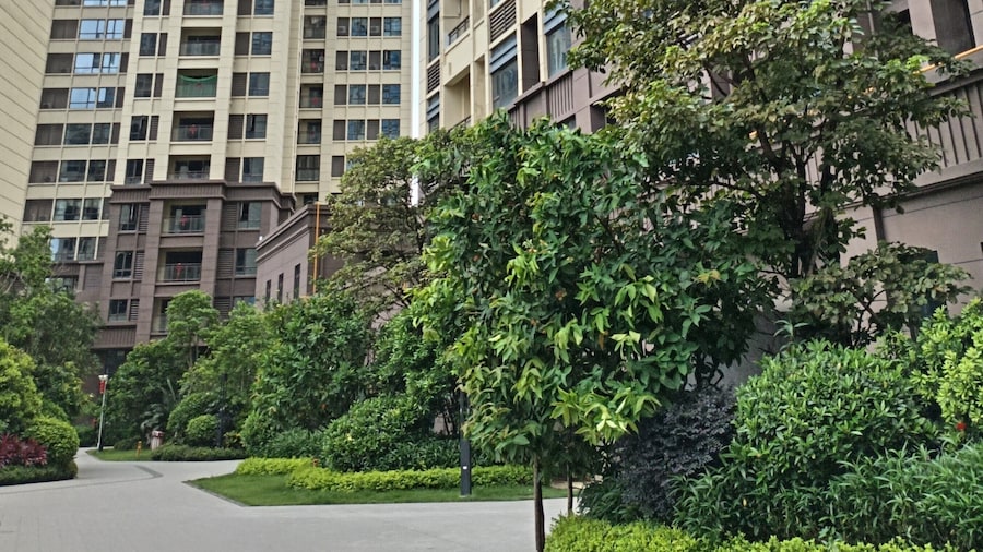 Sea View Appartment 1, Super Cosy and Comfortable, Potou, Yuyuan Lu