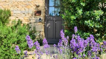 DĂ©tail de lâextĂ©rieur