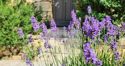 Vue sur Le Vallon - 3 bedroom luxury Gite with heated pool near Sarlat & Beynac