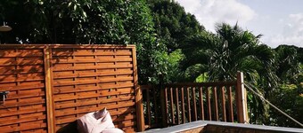 Following the Horizon of the Balisiers