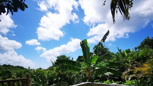 A rectangular hot tub on a wooden deck with a clear view of a tropical garden and sky. - Following the Horizon of the Balisiers (Sainte-Anne)