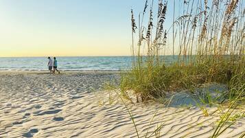 Une plage de sable avec de hautes herbes et des empreintes de pas.