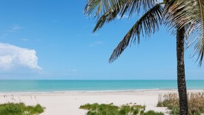 Een strand met een heldere lucht, een palmboom en een zandpad dat naar het water leidt.