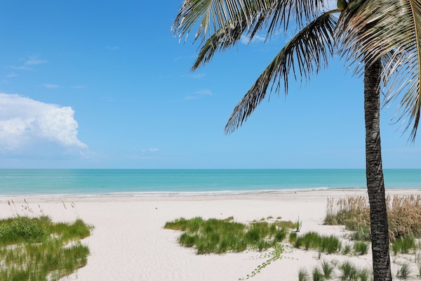 Beach/ocean view