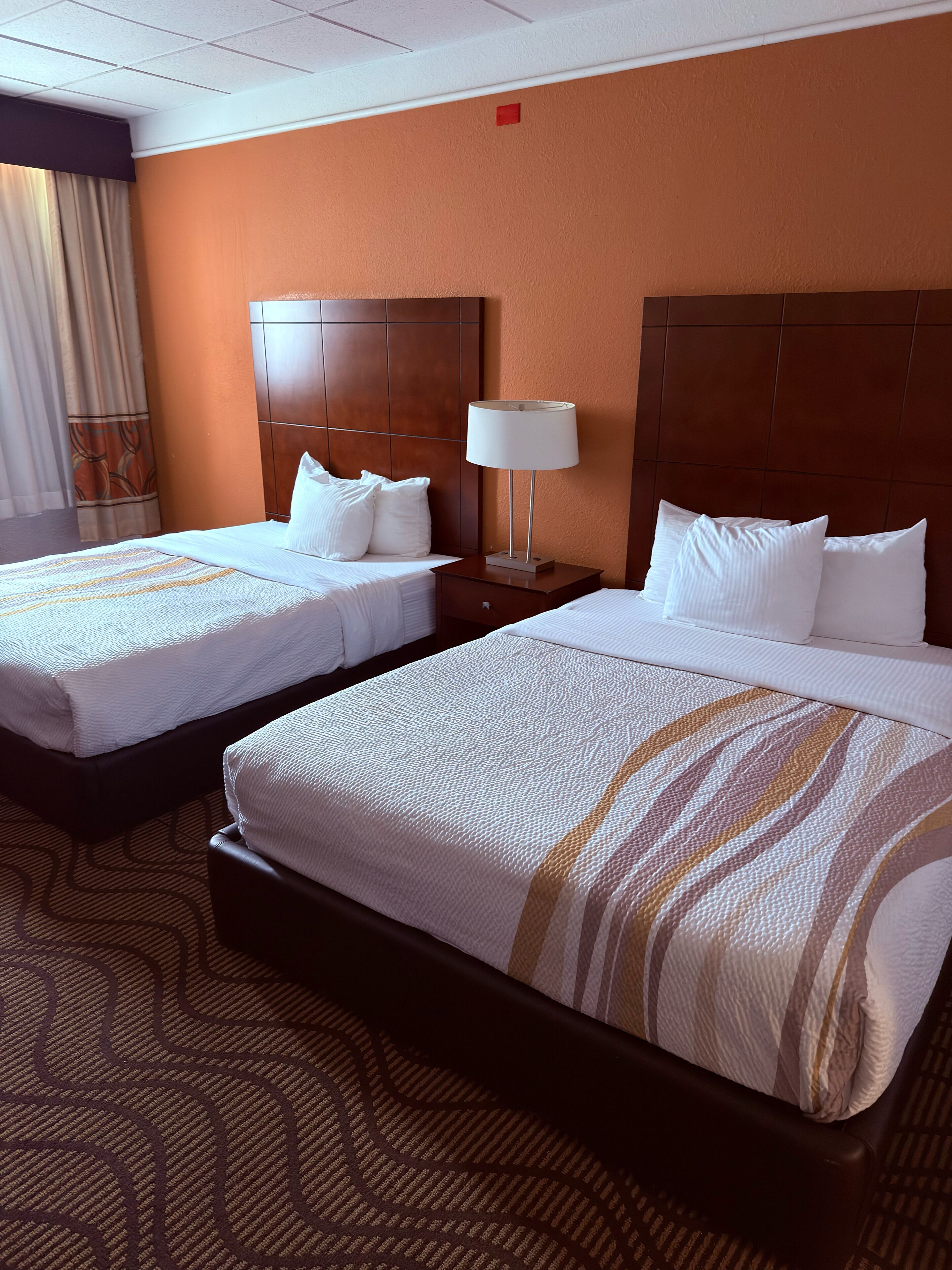 Bureau, fer et planche à repasser, lits bébé (gratuits), Wi-Fi gratuit