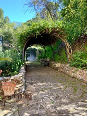 Un chemin de pierres serpente à travers un jardin luxuriant, bordé d’une pergola recouverte de plantes grimpantes.