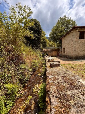 Área da propriedade
