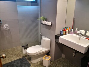 Chuveiro, secador de cabelo, bidê, toalhas de banho