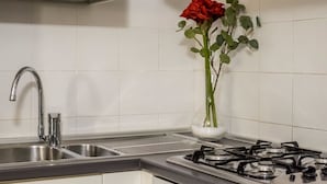 A kitchen with a stainless steel sink, a gas stove, and a vase with a red rose. - Magic View - WiFi (Venezia)
