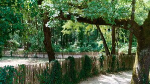 A forested area with a dirt path, wooden fence, and trees. - Guest Room 'Bleuet Adapted for PRM' with Private Terrace, Shared Garden and Wi-Fi (Gabillou)