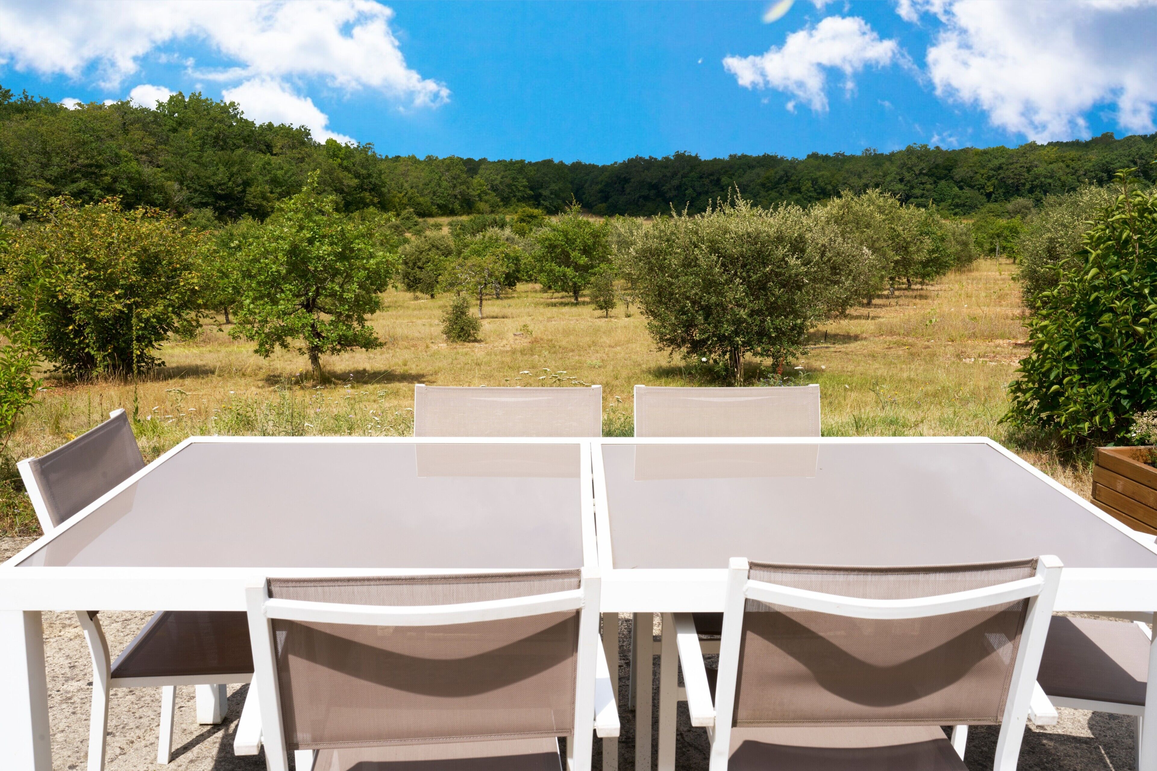 Opções para refeição ao ar livre