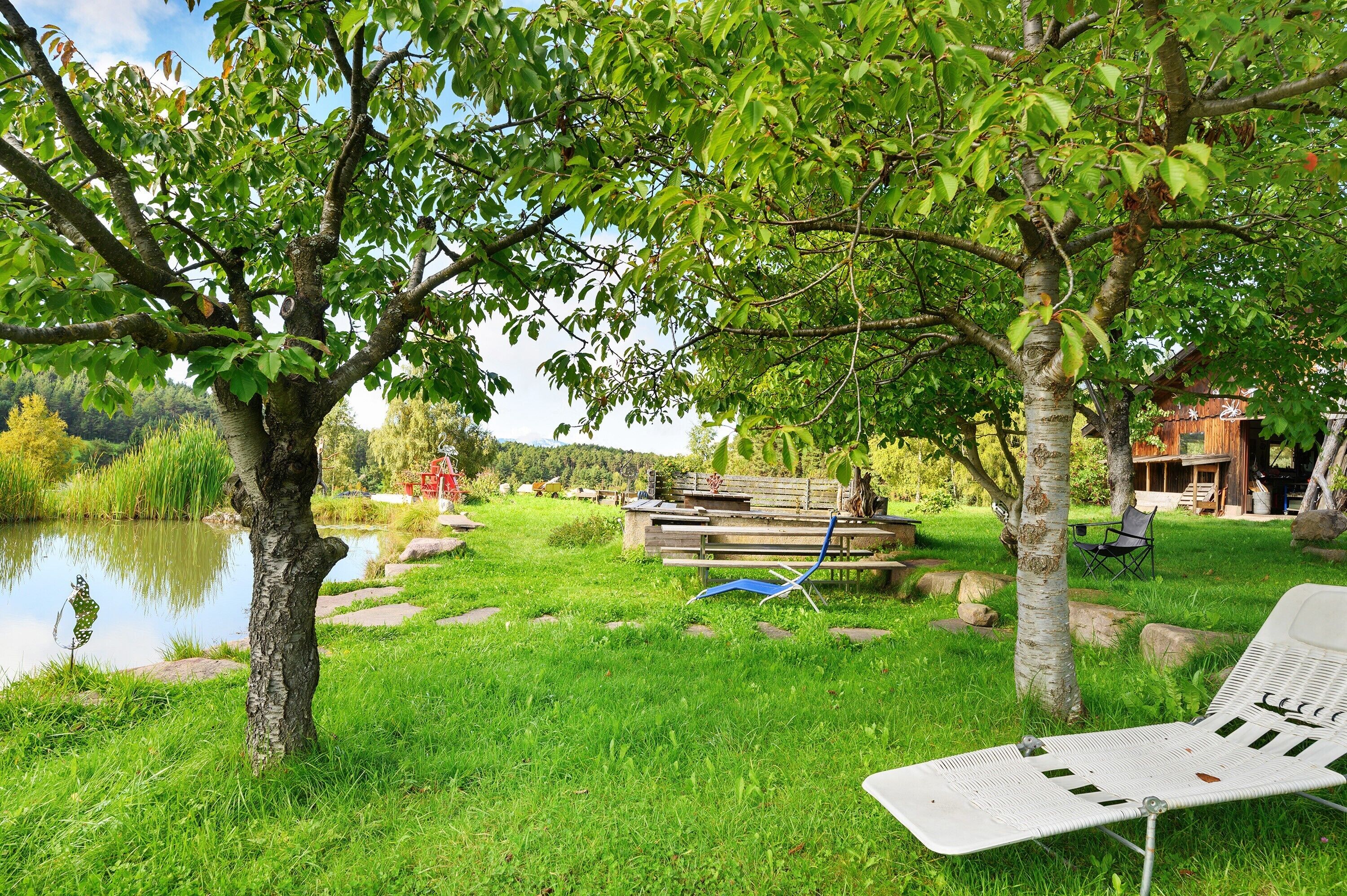 Un'area esterna tranquilla con uno stagno, una panchina in legno e una poltrona da relax.