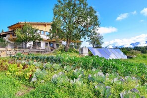 Une maison moderne dotée d’un jardin, de panneaux solaires et offrant une vue sur la montagne.