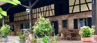 Apartment '6' with Private Terrace and Shared Garden