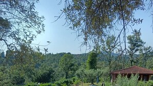 Une piscine à l’eau d’un bleu limpide, entourée d’un jardin où poussent différentes espèces de plantes, avec une petite maison en arrière-plan.