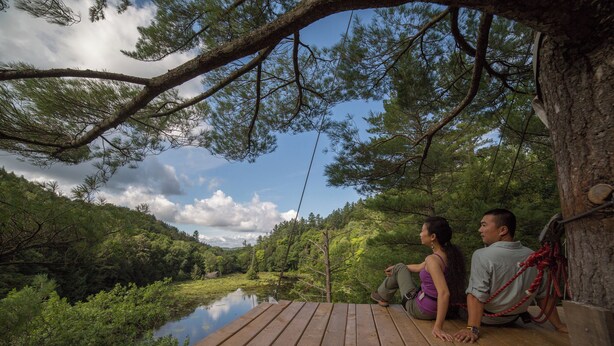 Une terrasse en bois donnant sur une rivière, avec une végétation luxuriante et des arbres en arrière-plan.