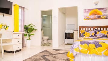 1 bedroom, iron/ironing board, WiFi, bed sheets