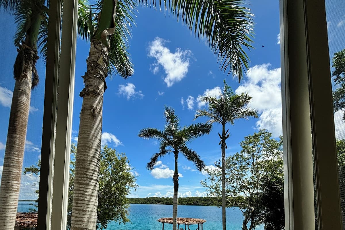 A pool surrounded by palm trees, a wooden deck, and a view of a lake and dock.