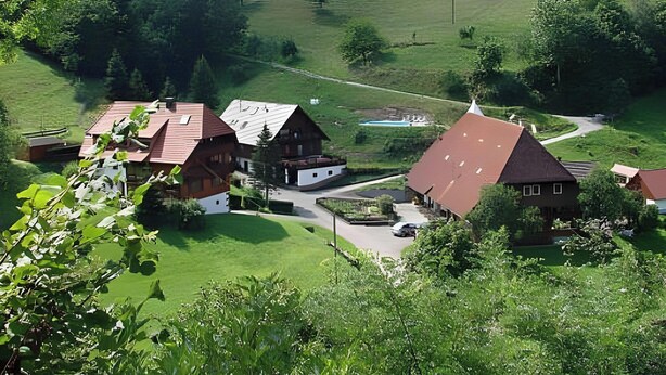 A rural village with traditional wooden houses, a clear road, and a hilly landscape. - Apartment 'Vogelnest' with Mountain View, Shared Pool and Wi-Fi – Not Suitable for Dogs (Wolfach)