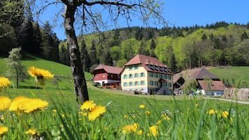 Extérieur