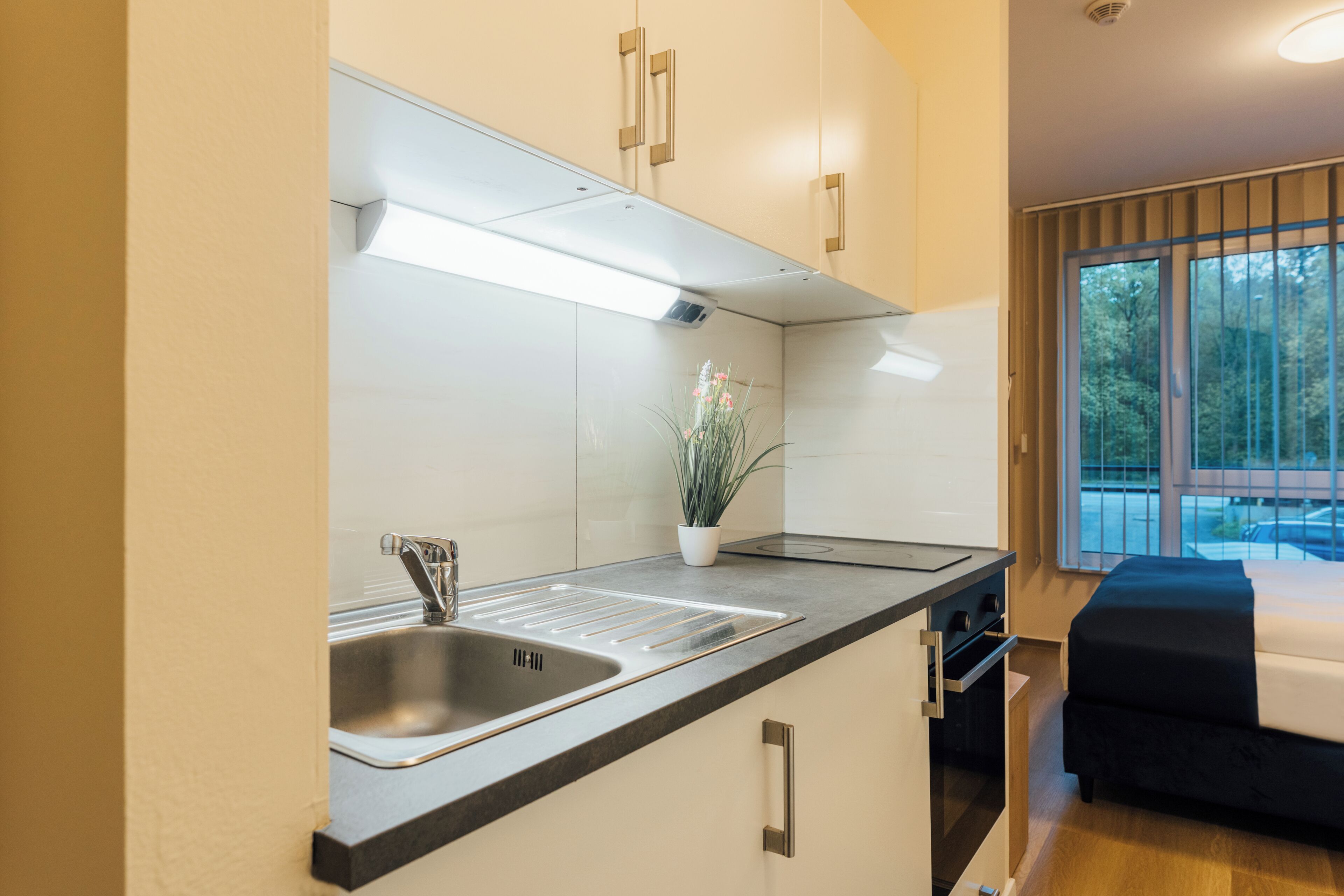 Eine moderne Küche mit Spüle, Edelstahlarmatur und einem Blumentopf.