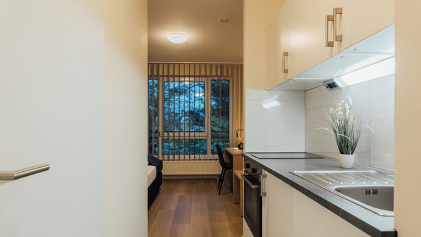 Una cocina moderna con horno empotrado, pileta y ventana con vista a árboles.