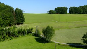 Paesaggio rurale con dolci colline verdi, un sentiero sterrato e una struttura per linee elettriche.