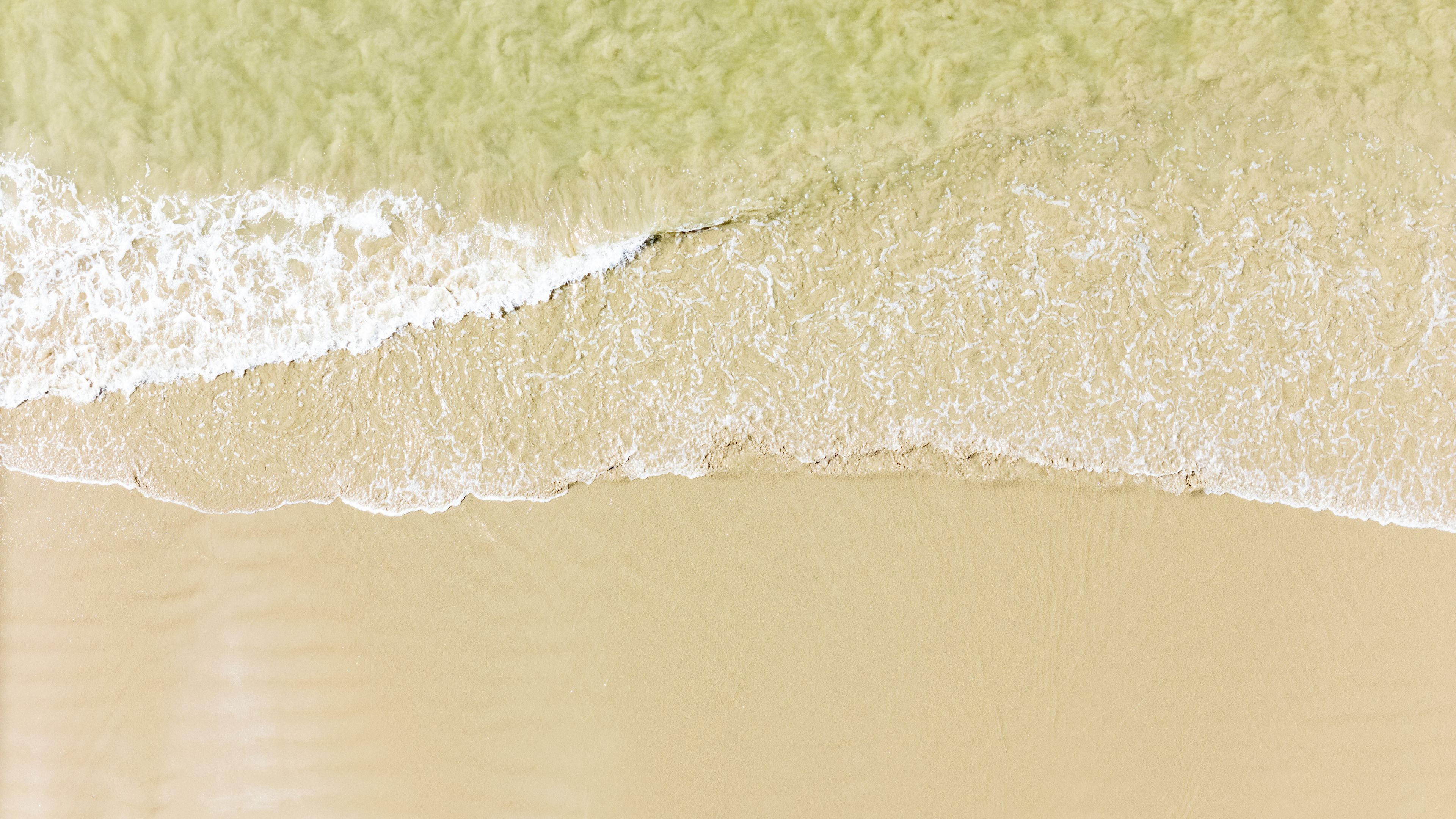 Una spiaggia con un'onda spumeggiante che si infrange sulla riva.