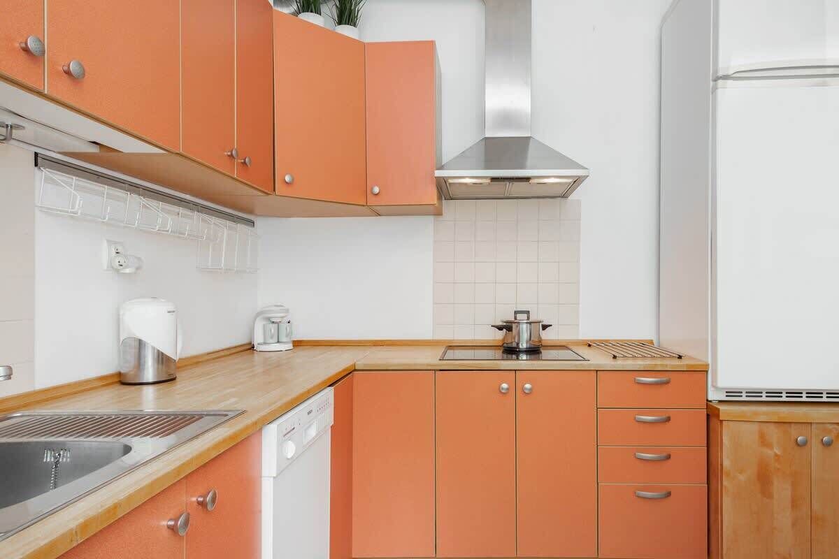 Fridge, oven, stovetop, dishwasher