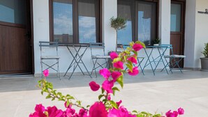Un espace extérieur aménagé avec des chaises pliantes bleues et une table, entouré de plantes et de fleurs en pot.