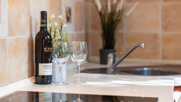 A kitchen counter with a bottle of Pinotage wine, two glasses, and a potted plant. - Cozy Studio in the Center | Close to Central Station (Warszawa)