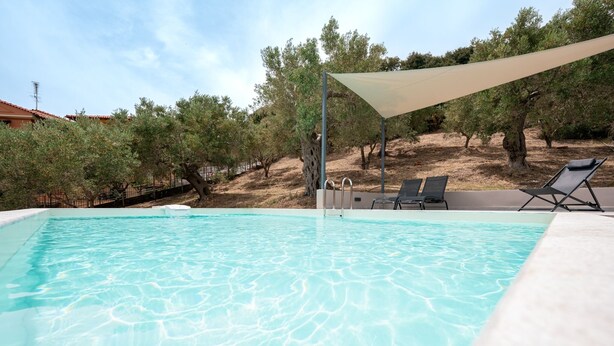 A swimming pool with clear water, surrounded by olive trees and a shaded area with lounge chairs.
