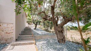 A staircase leading up to a building with a stone wall and a tree with a twisted trunk.