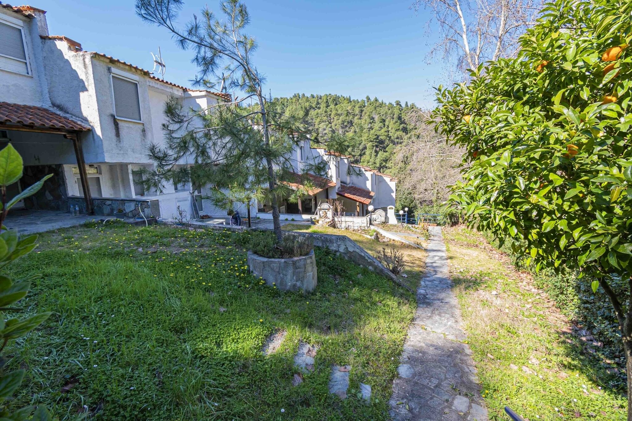 Un patio con un camino de piedra, un árbol pequeño y un edificio con techo de tejas.