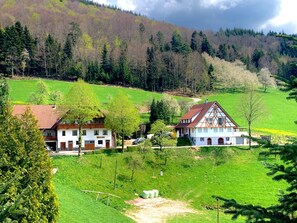Exterior - Apartment 'Talblick' with Private Terrace and Wi-Fi (Oppenau)