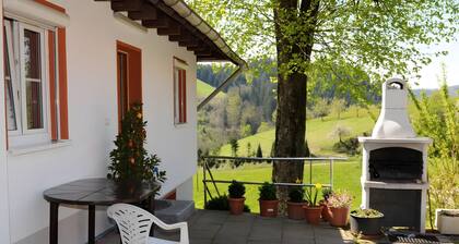 Ferienwohnung 'Talblick' mit privater Terrasse und WLAN