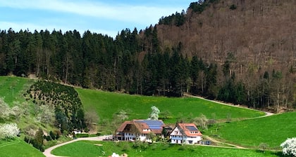 Ferienwohnung 'Talblick' mit privater Terrasse und WLAN