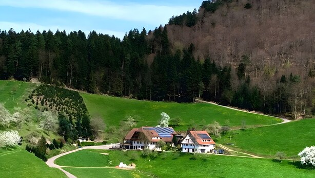 Landskab med snoet vej, to huse med solpaneler og en tæt skov i baggrunden.