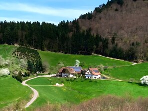 Paisagem rural com estrada sinuosa, duas casas com painéis solares e uma floresta densa ao fundo.