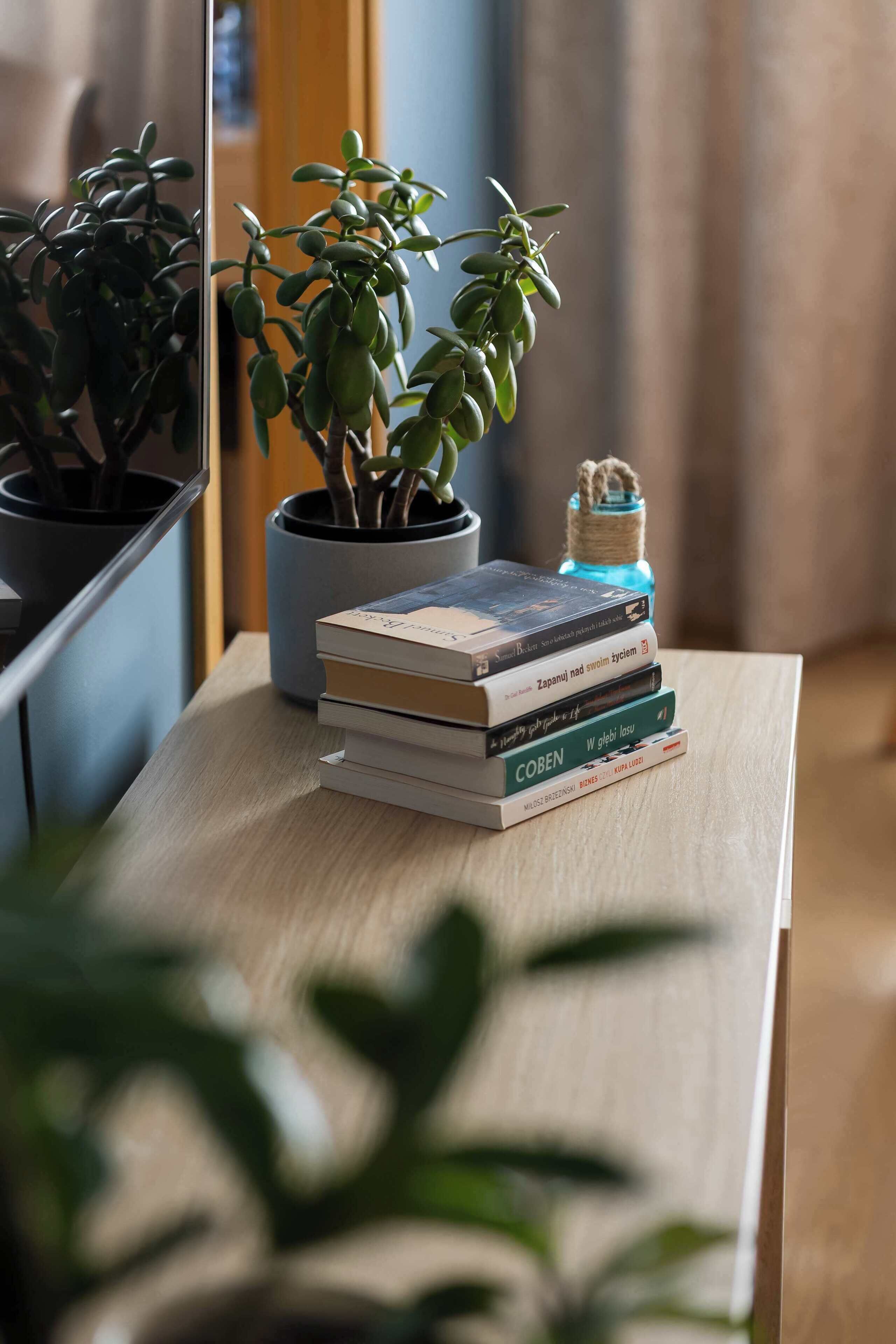 Una pila di libri su un tavolo di legno con una pianta in vaso accanto.