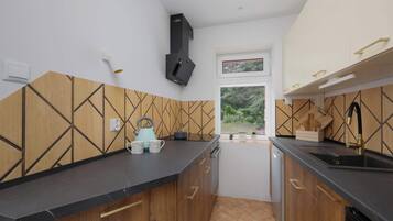 Fridge, microwave, oven, stovetop