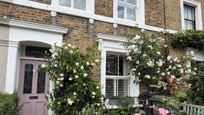 Une maison en briques avec des fenêtres à cadre blanc, une porte violette et un jardin où poussent différentes plantes et fleurs.