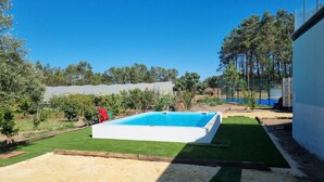 Une piscine rectangulaire entourée d’une pelouse et d’arbres.