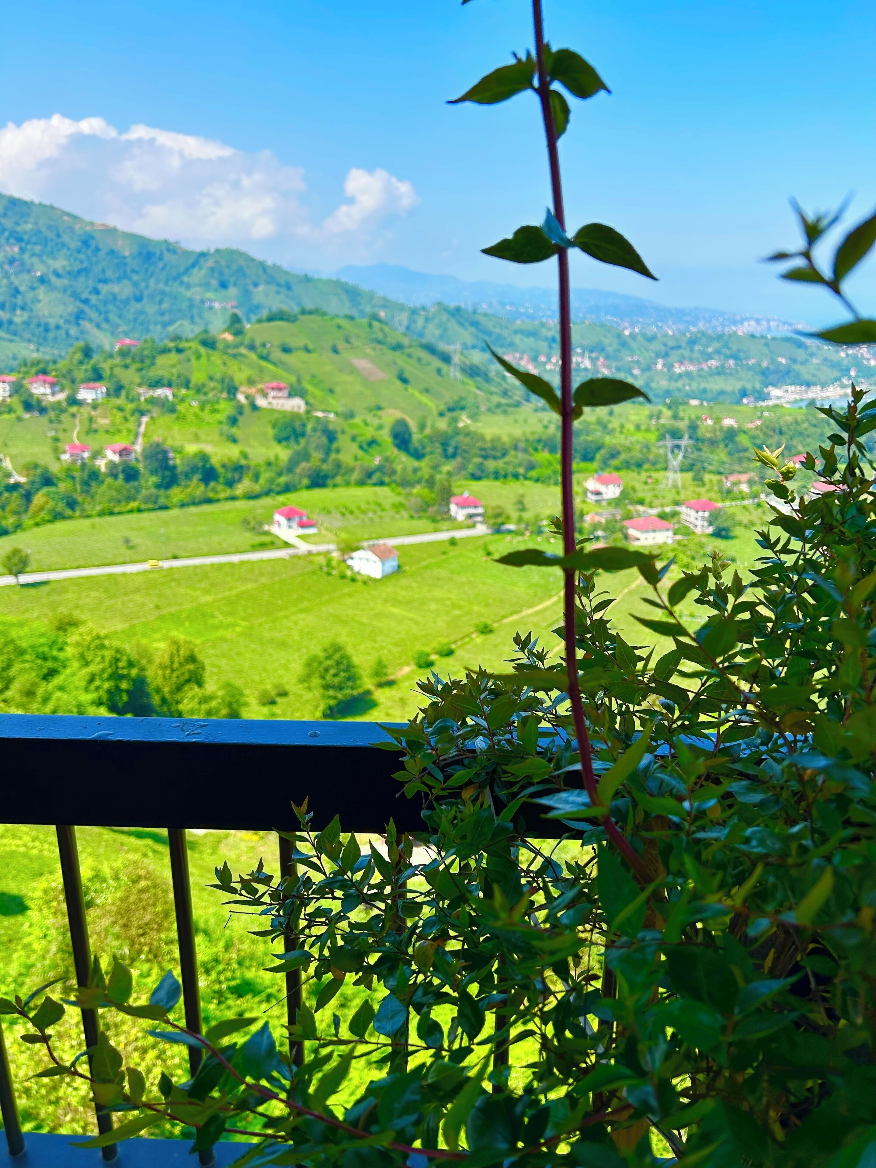 A balcony with a view of a green valley, houses, and hills.