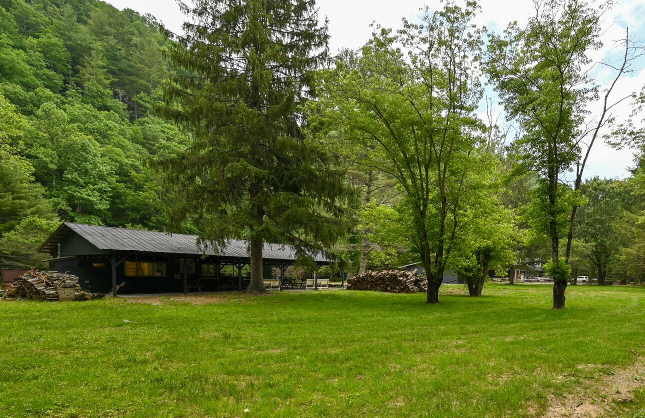 A rustic cabin with a metal roof, surrounded by a lush green landscape and dense forest.