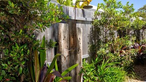 Une clôture en bois d’aspect rustique, entourée d’un feuillage verdoyant et luxuriant et de diverses plantes.