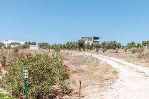 Parco della struttura