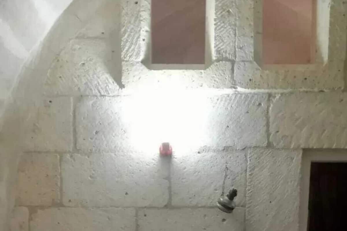 Basic Room, Garden View