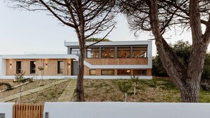 A modern two-story house with a flat roof, large windows, and wooden paneling.