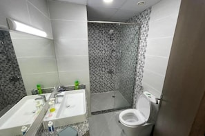Bidet, towels, soap, toilet paper
